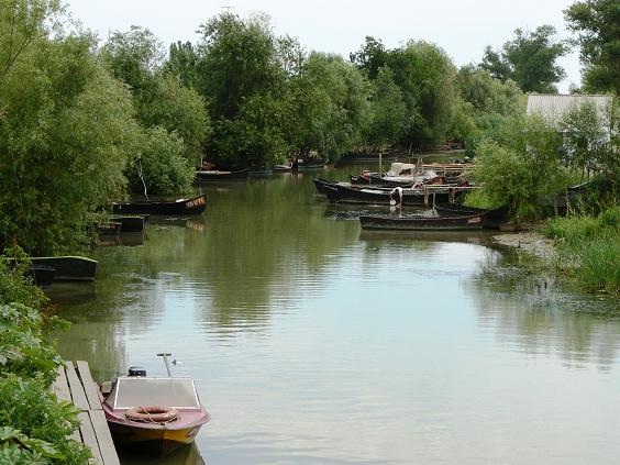 Квітучий сад у дельті Дунаю