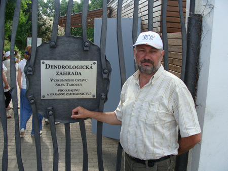 Дендрологічний сад у Пругониці