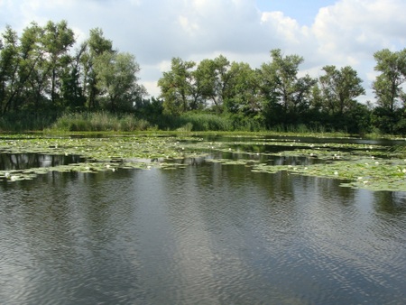 Дніпровсько-Орільський заповідник