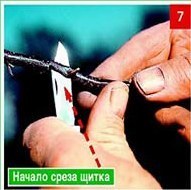 Щеплення &ndash; складно, але цілком можливо. Частина 2. Окулировка.