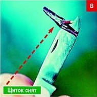 Щеплення &ndash; складно, але цілком можливо. Частина 2. Окулировка.