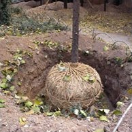 Сезонний календар робіт на листопад