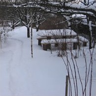 Сезонний календар робіт на грудень