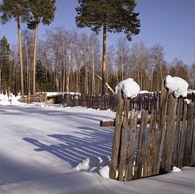 Сезонний календар робіт на грудень