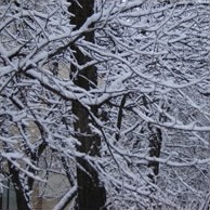 Сезонний календар робіт на січень