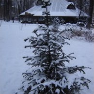 Сезонний календар робіт на січень
