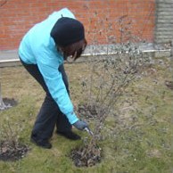 Сезонний календар робіт на лютий