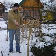Сезонний календар робіт на лютий