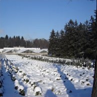 Сезонний календар робіт на лютий