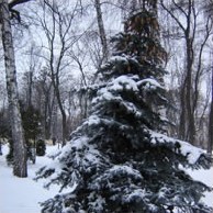 Сезонний календар робіт на лютий