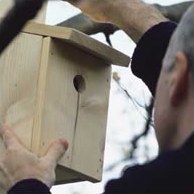 Сезонний календар робіт на березень