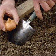 Сезонний календар робіт на березень
