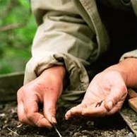 Сезонний календар робіт на березень