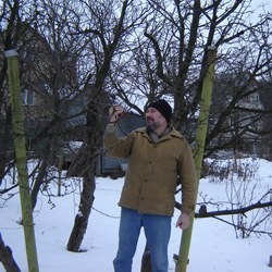 Обрізка плодових дерев. Що потрібно знати, приступаючи до обрізки?